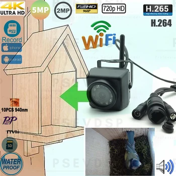 Camhi 5-Мегапиксельная 8-мегапиксельная мини-ИК-камера Обнаружение движения Ночное видение Wifi Наружное видеонаблюдение Беспроводная камера P2p Птичье гнездо и клетка Домик